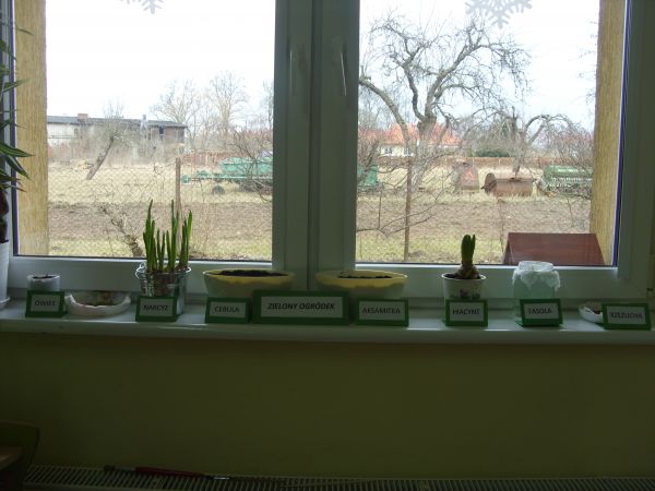 Zielony ogródek w przedszkolu